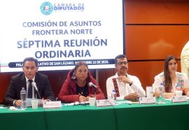 Diputadas de Morena por una política de retorno al país más humana