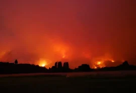 Bosque argentino: Cholila y Los Alerces bajo el asedio de las llamas