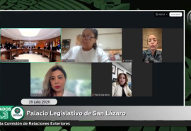 PRI y PAN se abstienen de pronunciarse a favor de los migrantes acosados por ICE