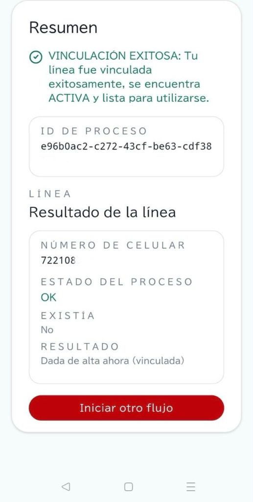 seguridad telefonía móvil México