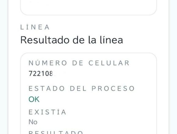 seguridad telefonía móvil México